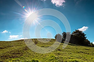 Landscape country field background