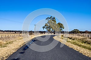 Landscape of a Country Road and blue sky near Deepwater, New South Wales, Australia