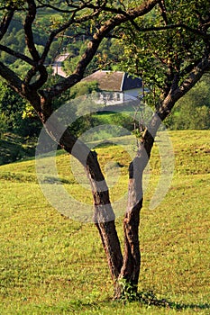 Landscape at the country side