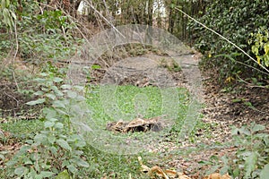 Landscape in country Thailand