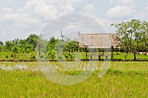 Landscape of countryside