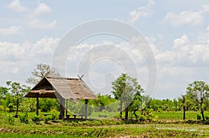 Landscape of countryside