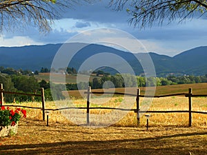 Landscape in countryside