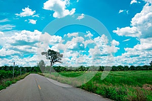 Landscape countryside road way green meadow and tree ,cloud and blue sky background .