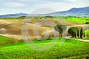 Landscape of countryside.Tuscany, Italy.