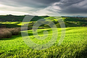 Landscape of countryside.Tuscany, Italy.