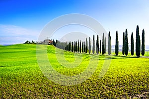 Landscape of countryside in Val d'Orcia province.Tuscany, Italy.