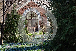 Landscape cozy garden, spruce, house and a carpet of spring flowers