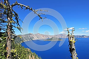 Landscape in Crater Lake National Park, USA