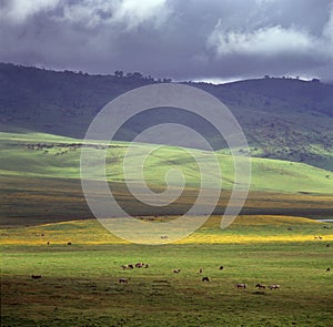 Landscape of crater ngoro ngoro in tanzania