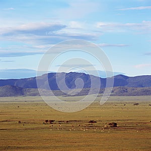 Landscape of crater ngoro ngoro in tanzania