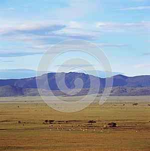 Landscape of crater ngoro ngoro in tanzania photo