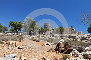 Landscape from Crete island. Greece