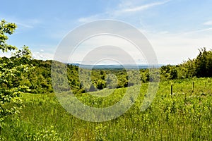 Landscape in Croatia with green deciduous montane forest and hills