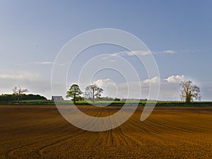 Landscape of crop Field prepared for sowing.