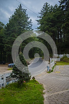 landscape of curved road in the middle of green forest with garage and parked cars in totonicapan