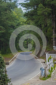 landscape of curvy road in the middle of green forest with garanja in totonicapan