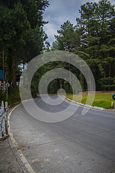 landscape of curvy road in the middle of green forest in totonicapan