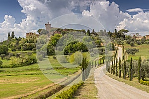 Landscape with a cypresses lined path to Palazzo Massaini, an architectural complex located on a hillside near Pienza town in