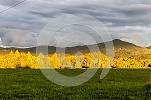 Landscape of Czech Switzerland National Park near Vysoka Lipa village, Czech Republ