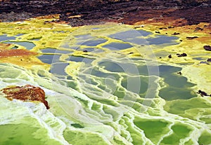 Landscape of the Danakil Depression, Azar Region, Ethiopia photo