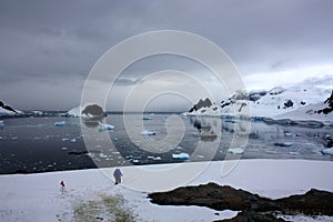 Landscape on Danco Island  in the Antarctica