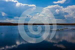 Landscape in Danube Delta