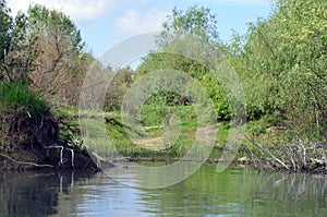 Landscape in the Danube Delta