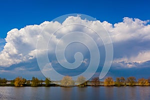 Landscape in Danube Delta