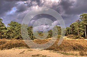 Landscape with dark clouds