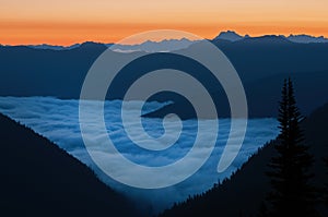 Landscape at Dawn Mt. Ranier National Park