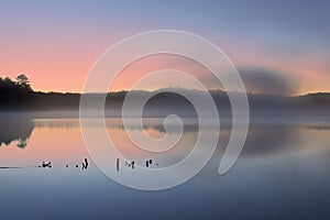 Pete`s Lake at Dawn photo