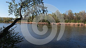 Landscape of dead river channel of Vah river near Kralova river dam, western Slovakia.