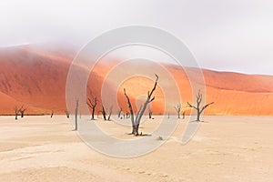 Landscape of Dead Vlei, Namibia