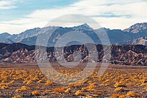 Landscape of the Death Valley National Park, California, USA