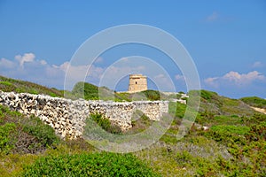 Landscape with Defense Tower Alcaufar - Torre de Defensa de Alcaufar on Menorca photo