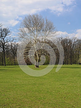 Landscape from dendrology park Sofiyivka Uman city, Ukraine