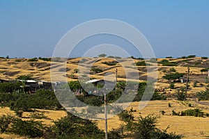 Landscape of a desert land of Rann of Kutch