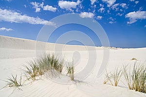 The landscape on desert Leba