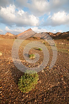 Landscape of desert mountains