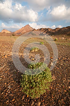 Landscape of desert mountains