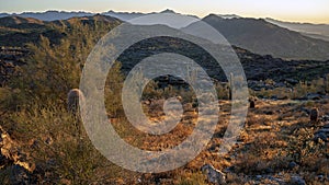 Landscape of desert and mountains near Phoenix Arizona
