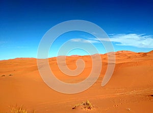 Landscape of the desert Sahara