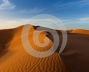 landscape in desert at sunset