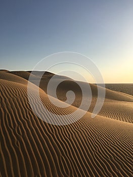 Landscape in desert at sunset