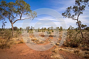 Landscape of a deserted valley on a bright sunny day