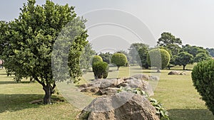 Landscape design of the city park. Bushes and spherical trimmed trees grow on the green lawn