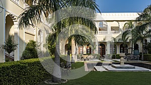 Landscape design. In the courtyard, on a green lawn, royal palms Roystonea grow