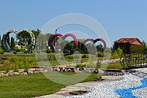 Landscape design of flower arrangements