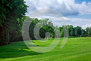 Landscape design with hilly meadow covered with green grass at the edge of a forest.